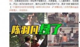 王四粉丝爆料视频大全最新,独家揭秘幕后故事
